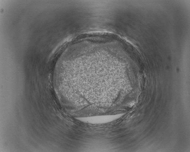 X0000061151351200512161545