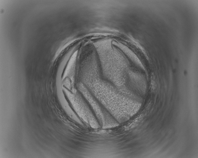 X0000061151352200512161545