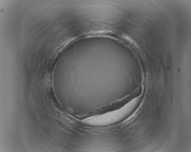 X0000061151353200512161545