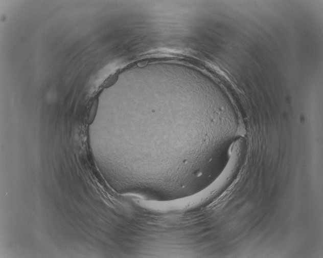 X0000061151355200512161545