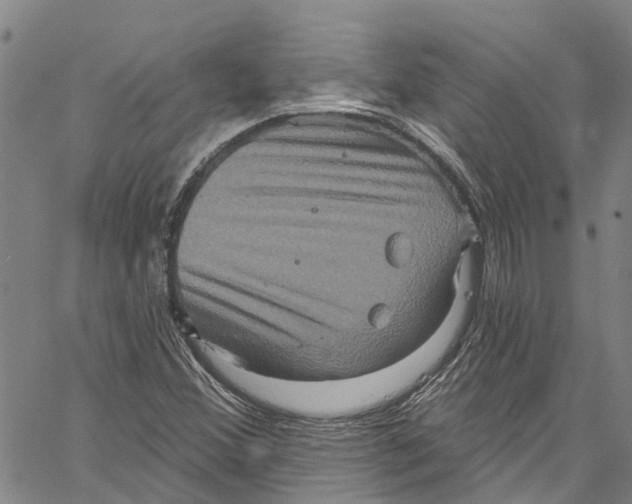 X0000061151356200512161545