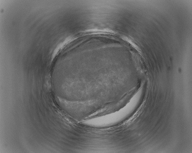 X0000061151357200512161545