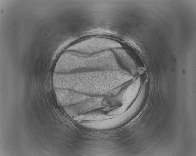 X0000061151358200512161545