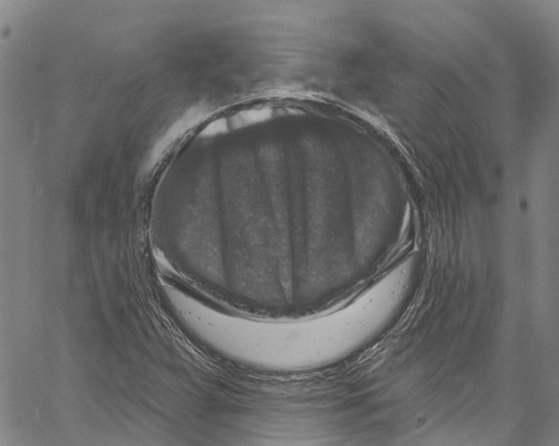 X0000061151359200512161545