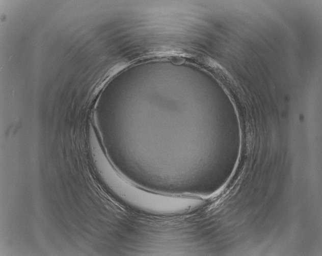 X0000061151361200512161545