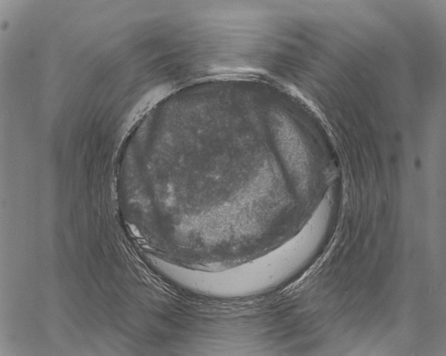 X0000061151362200512161545