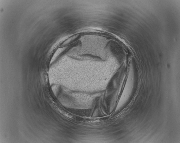 X0000061151363200512161545