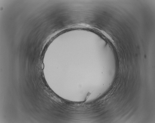 X0000061151364200512161545