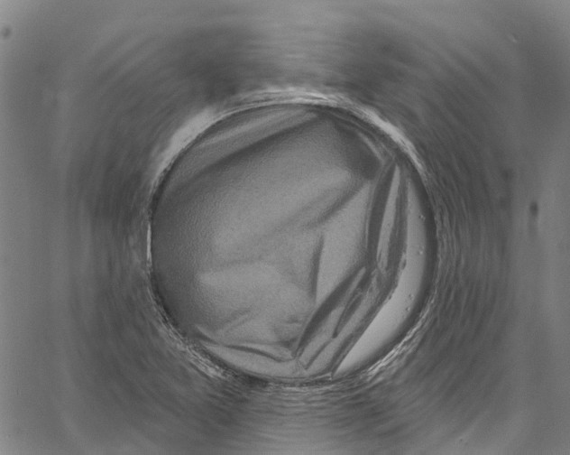 X0000061151365200512161545