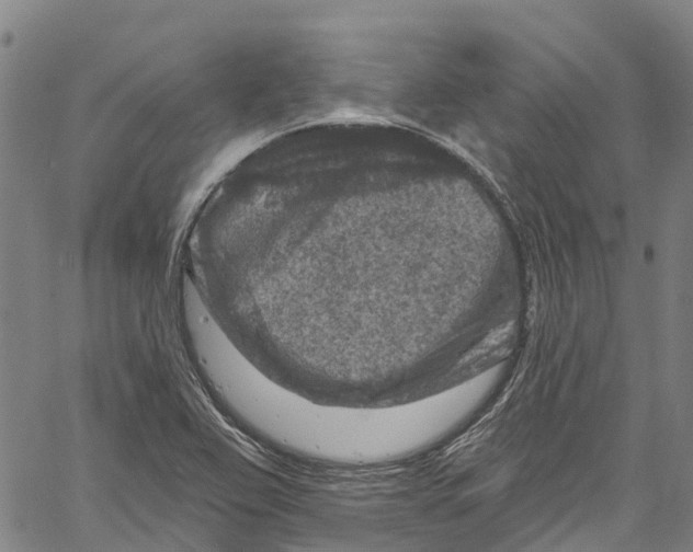 X0000061151367200512161545