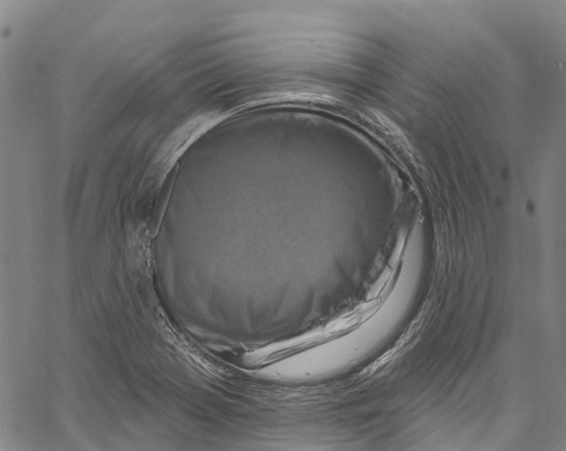 X0000061151369200512161545