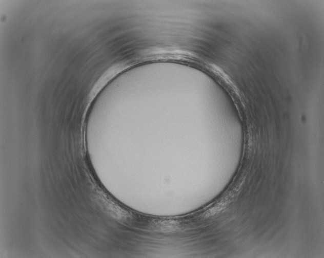 X0000061151370200512161544