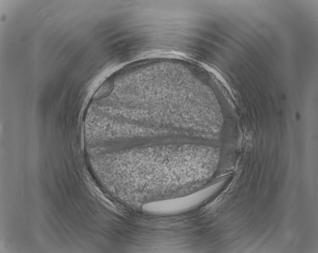 X0000061151371200512161544