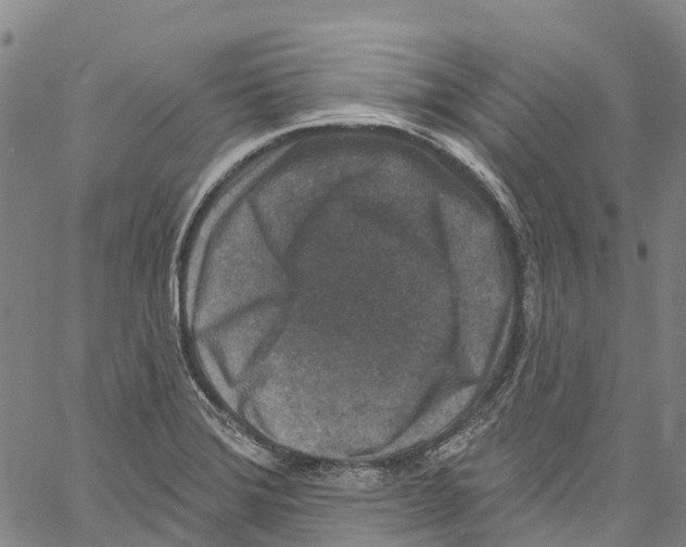 X0000061151372200512161544