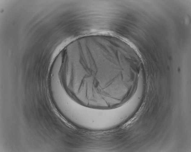 X0000061151373200512161544