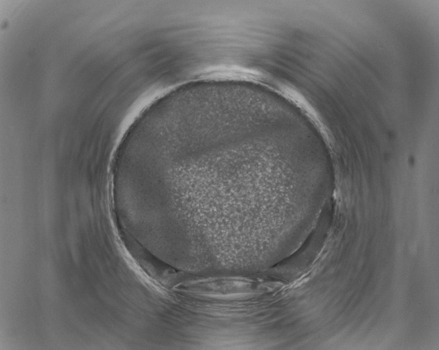 X0000061151376200512161544