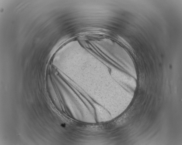 X0000061151378200512161544