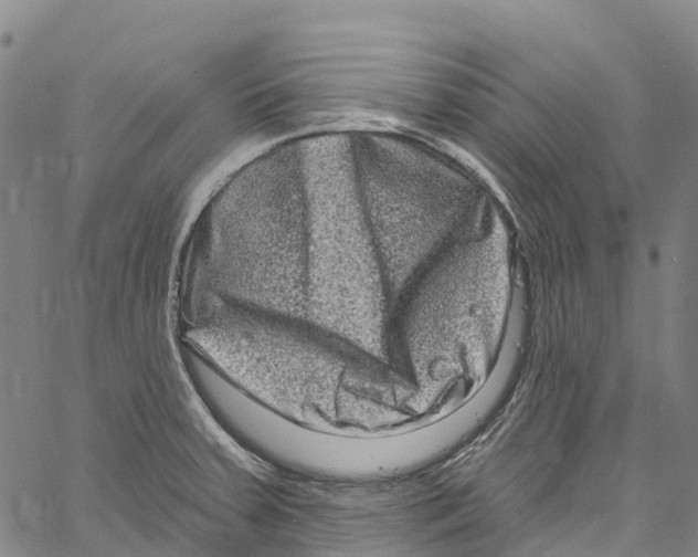 X0000061151379200512161544