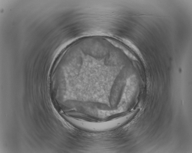 X0000061151380200512161544