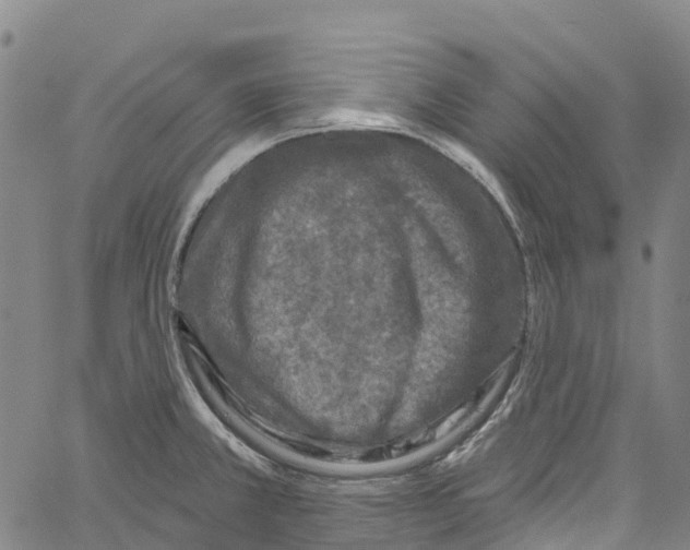 X0000061151381200512161544