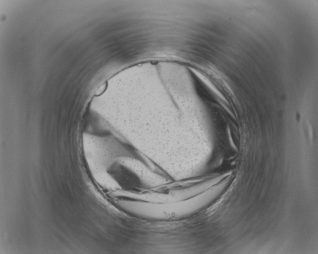 X0000061151382200512161544