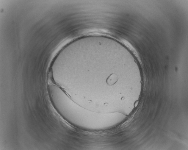 X0000061151384200512161544