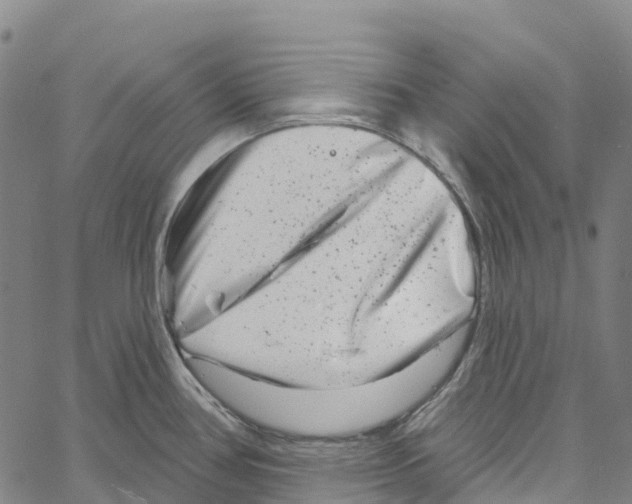 X0000061151386200512161544