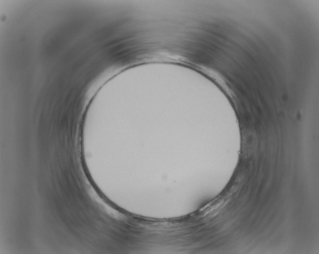 X0000061151387200512161544