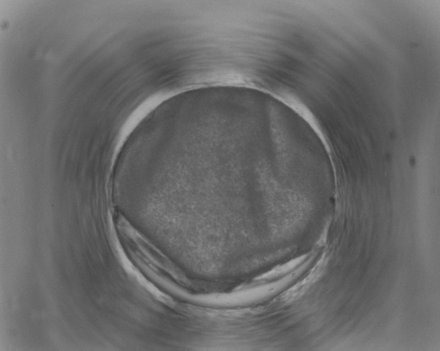 X0000061151389200512161544