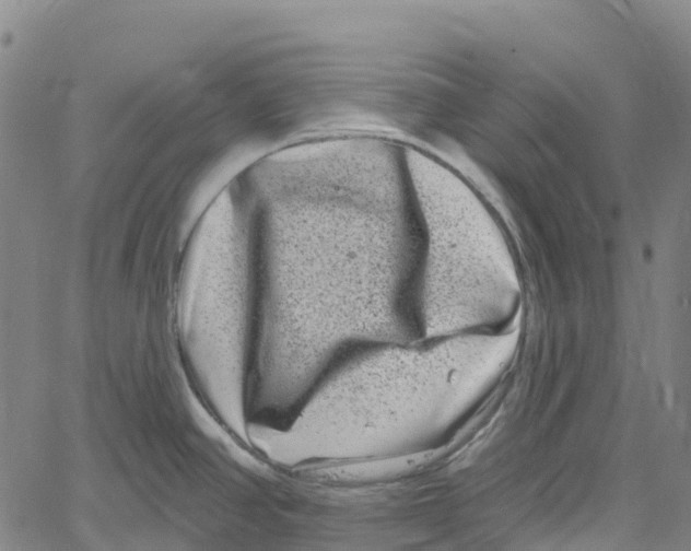 X0000061151390200512161544