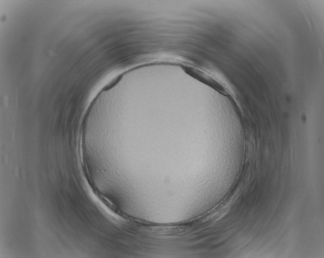 X0000061151391200512161544