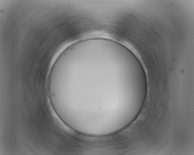 X0000061151392200512161544