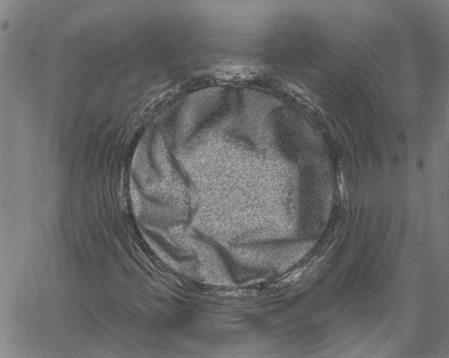 X0000061151396200512161543