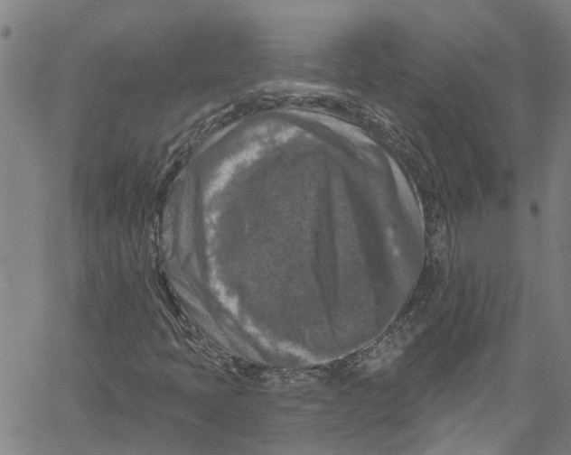 X0000061151397200512161543