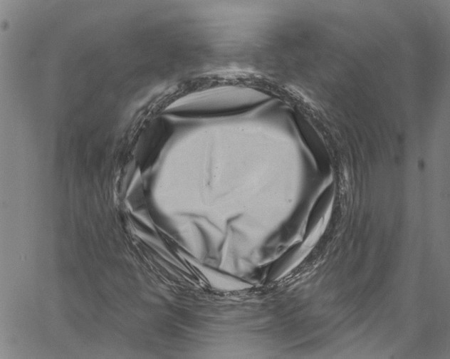 X0000061151398200512161543