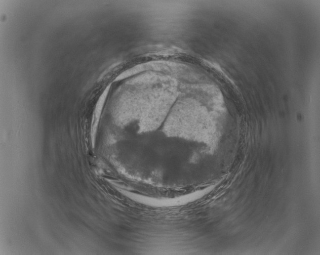 X0000061151399200512161543