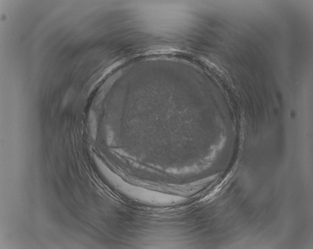 X0000061151401200512161543