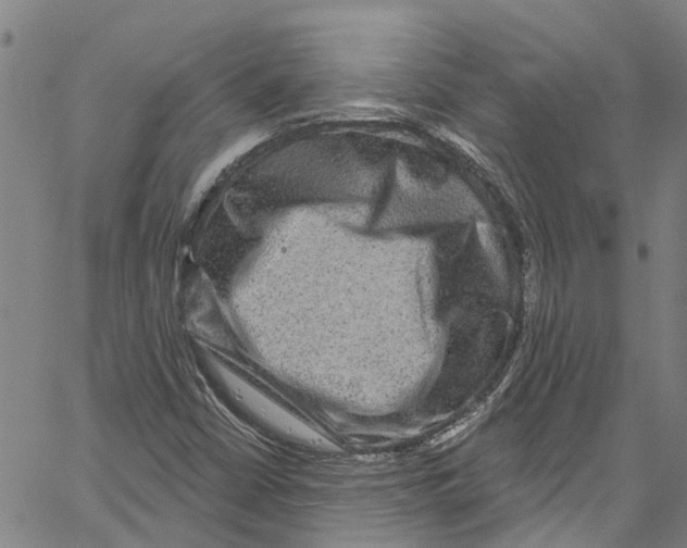 X0000061151402200512161543