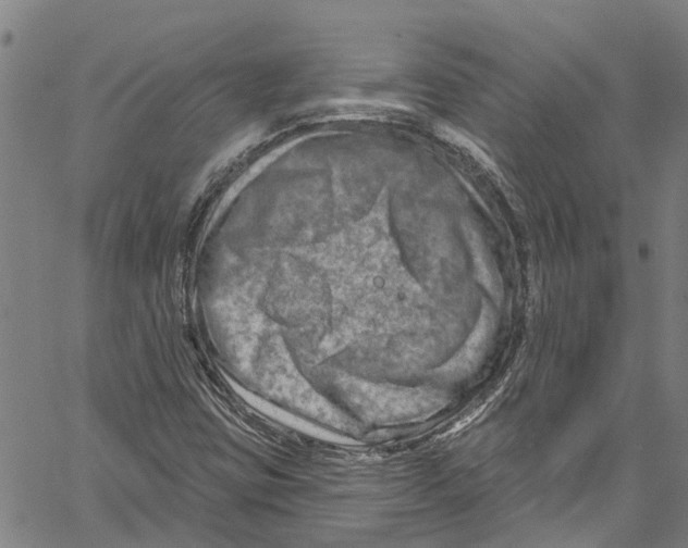 X0000061151403200512161544