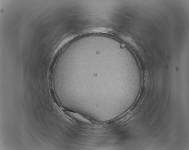 X0000061151404200512161544