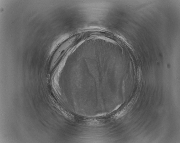 X0000061151405200512161544