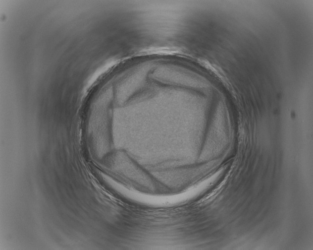 X0000061151406200512161544