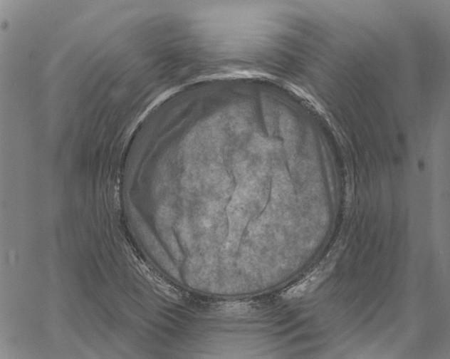 X0000061151409200512161544