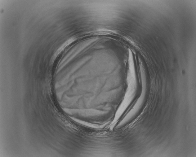 X0000061151410200512161544