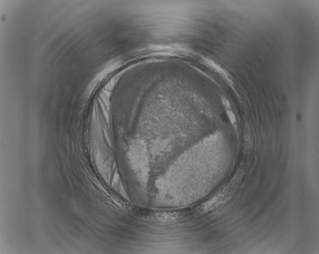 X0000061151411200512161544