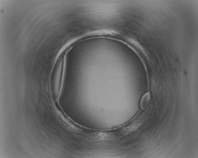 X0000061151412200512161544