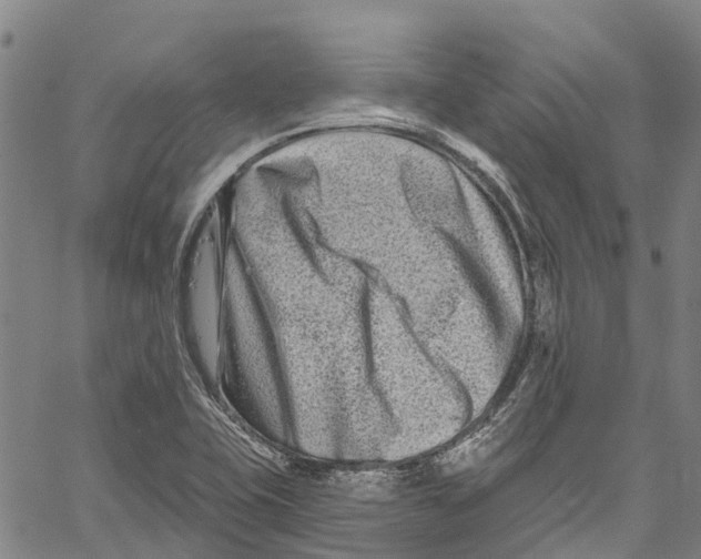 X0000061151415200512161544