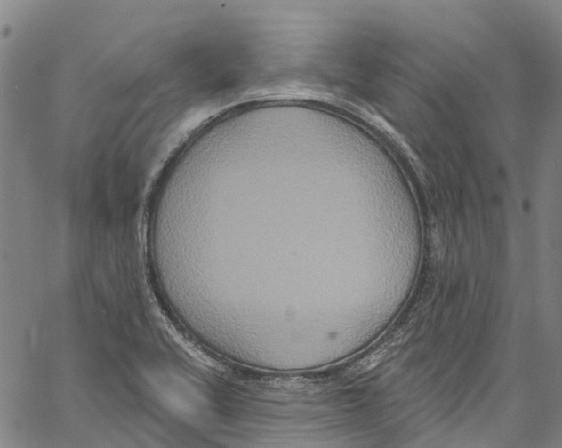 X0000061151416200512161544