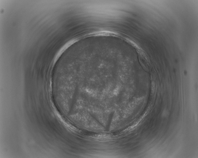 X0000061151418200512161544