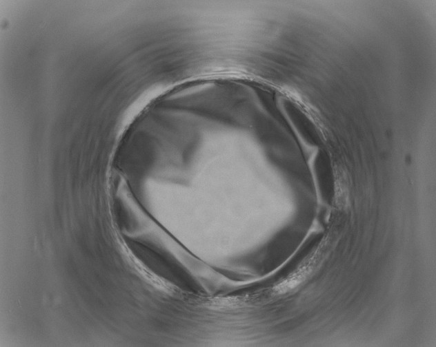 X0000061151422200512161544